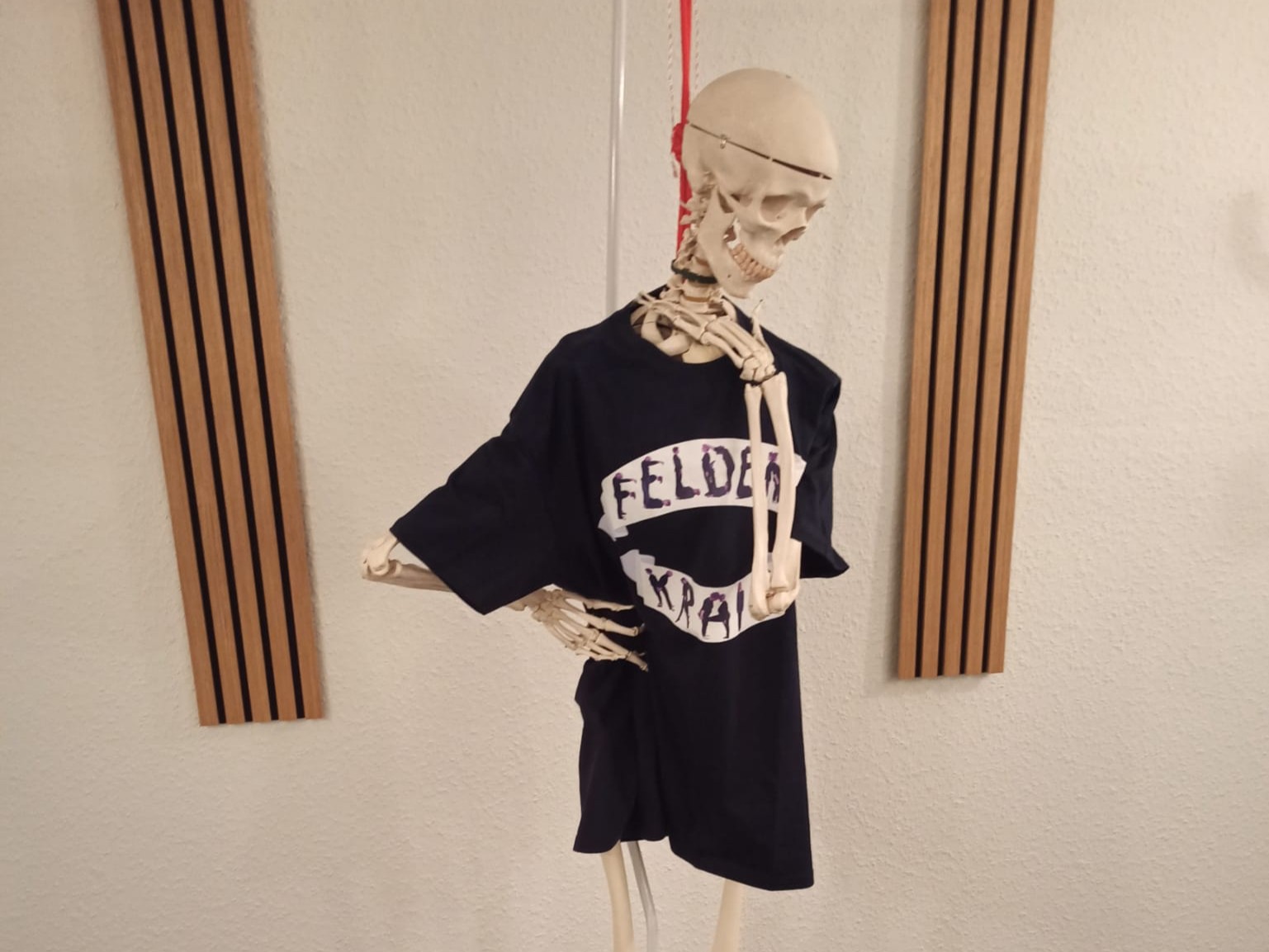 Skelett mit Feldenkrais-T-Shirt an